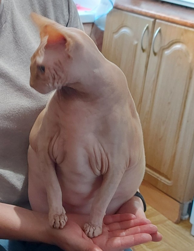 Доброе утро, ЯП