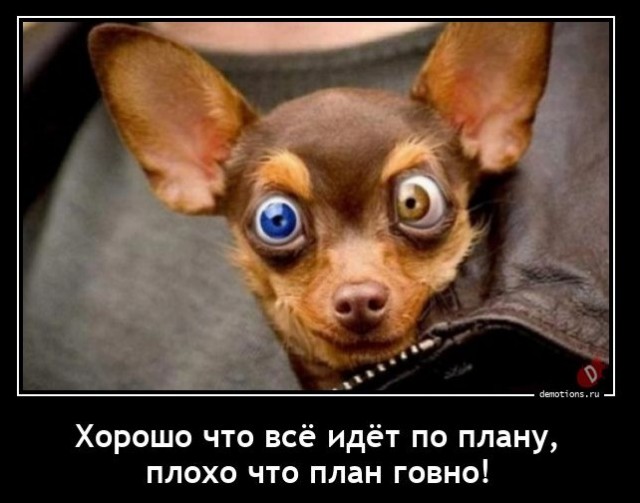 Хороший был план