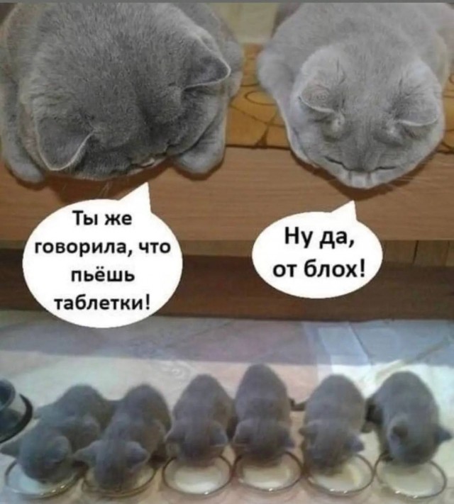 Картинки аморальные и всякие разные - 46
