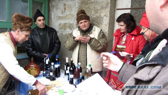 Крым в феврале или "Не стреляйте в белых лебедей!"