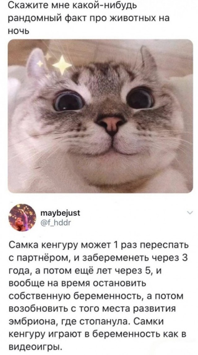 Скриншоты и комментарии из социальных сетей 20.06.23