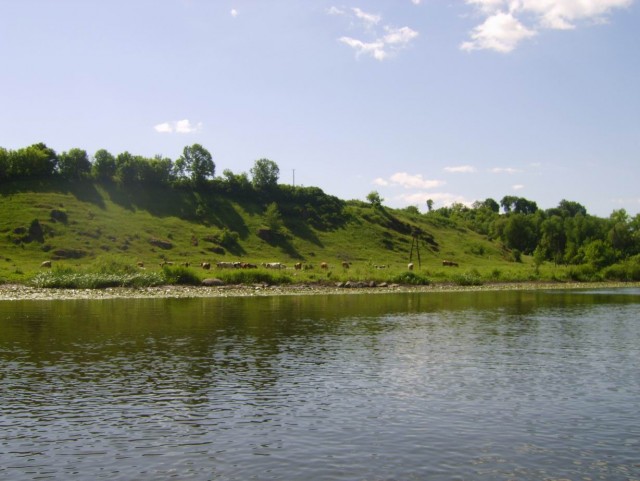 Сплав. Южный Буг.