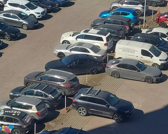 БМВ головного мозга