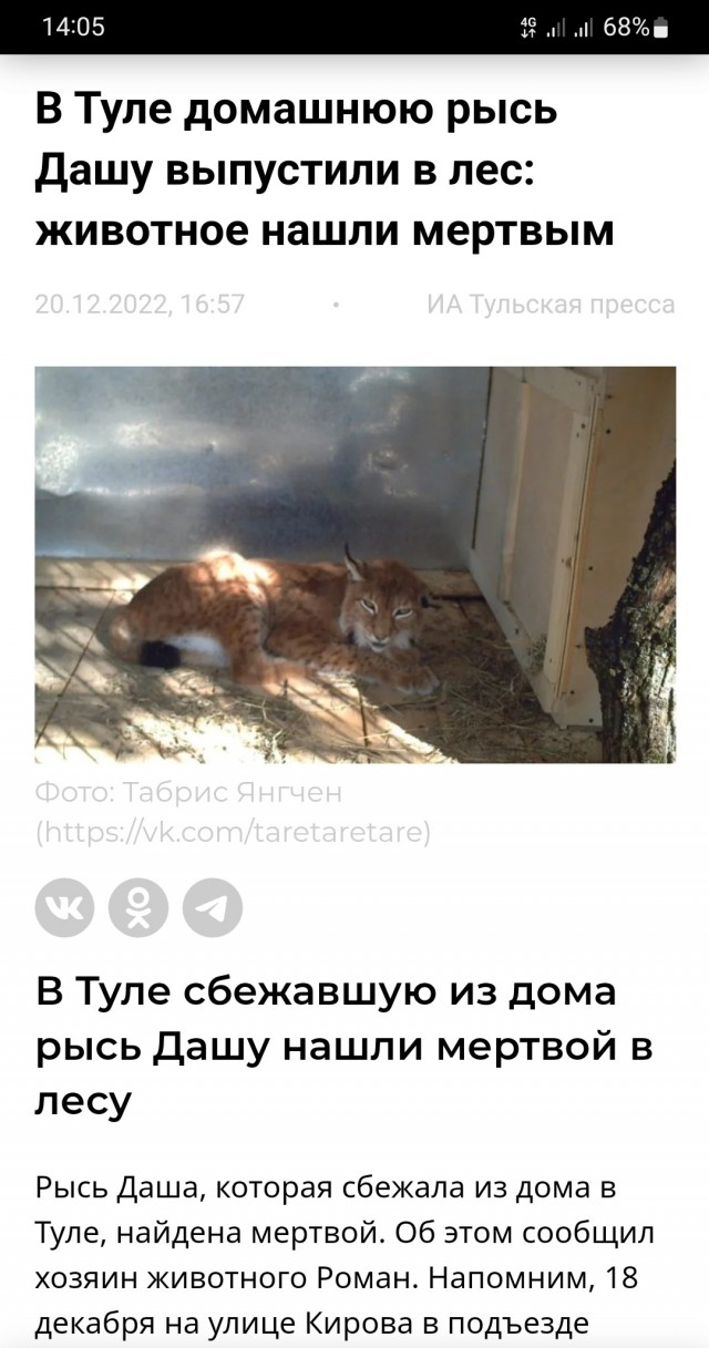 Чеши меня и не останавливайся