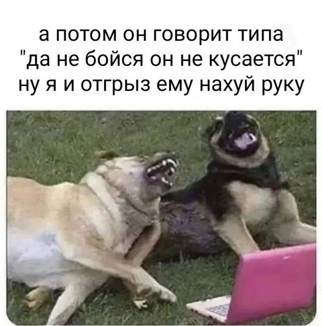 Неадекватность