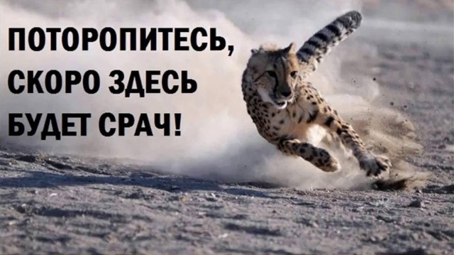 Одного меня бесит такое?