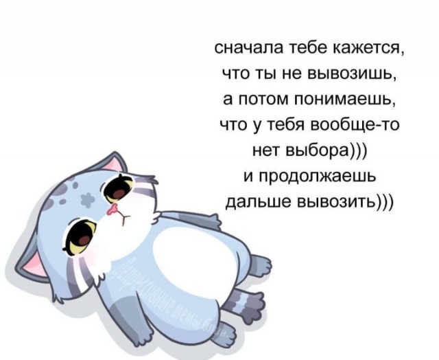 Всего понемногу. От 02.10.23