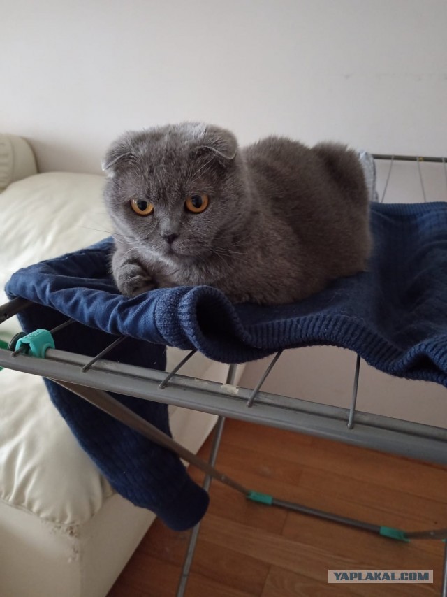 Вот и я стал рабом
