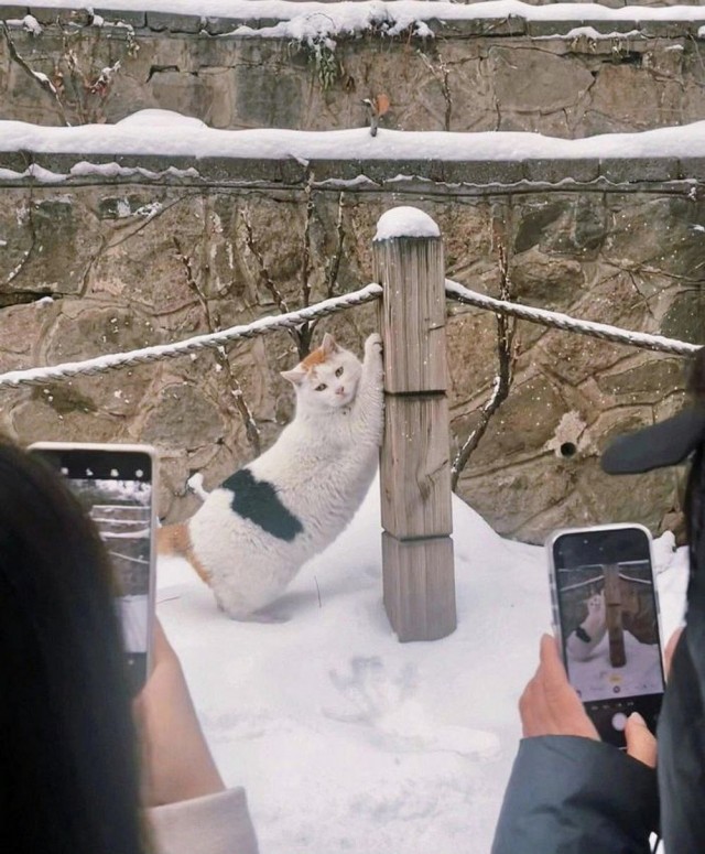 ФотоВинегрет