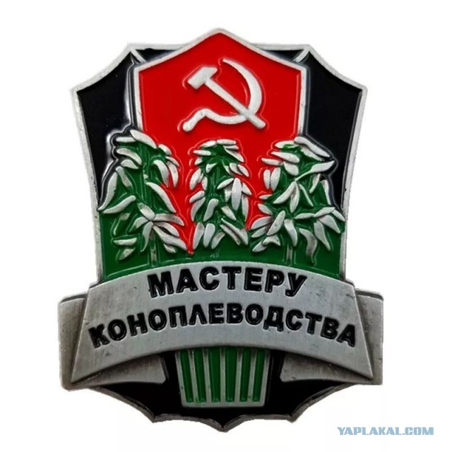 Тапочное производство