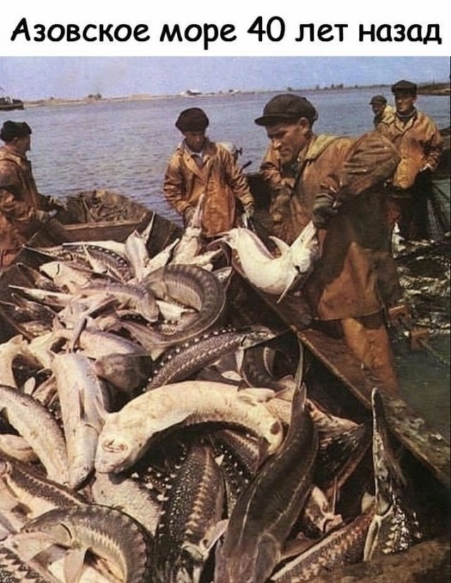 ​ Фотографии из прошлого нашей страны – 86