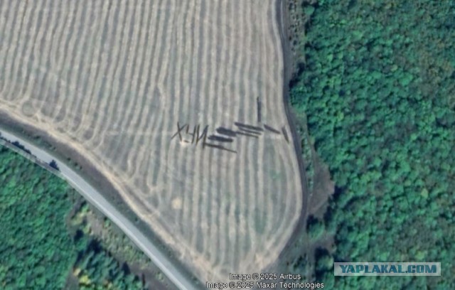 Загадочные надписи «Help!» на снимках Google Maps встревожили американцев