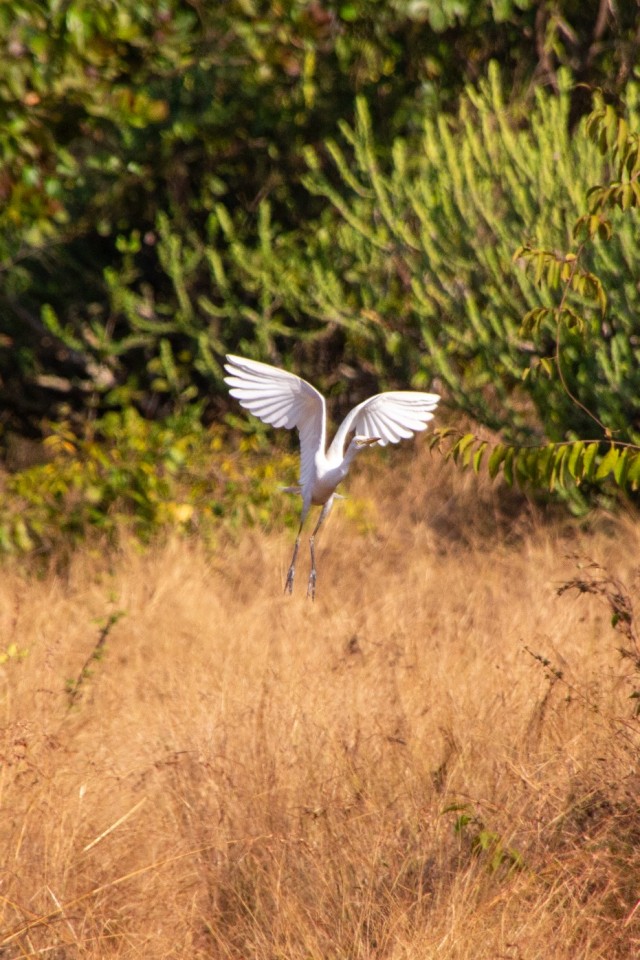 Бутан, таинственный Бутан
