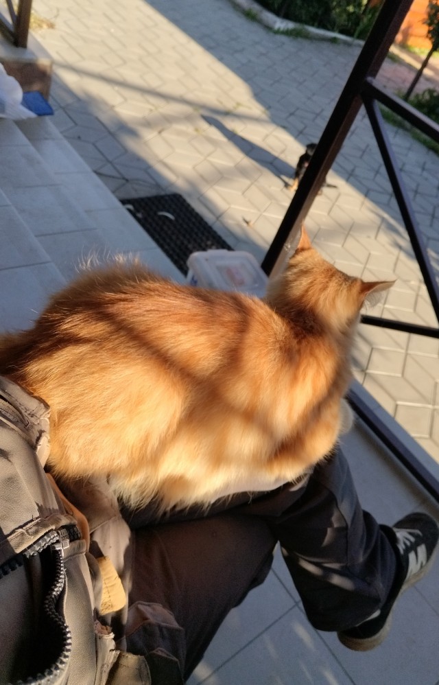 Вот так и рабкотаем