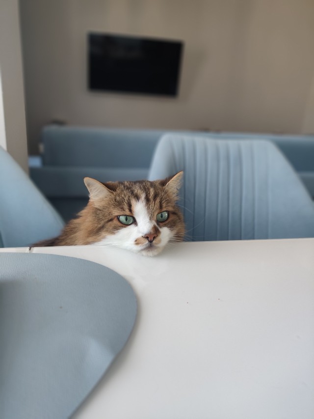 Что у нас на завтрак?