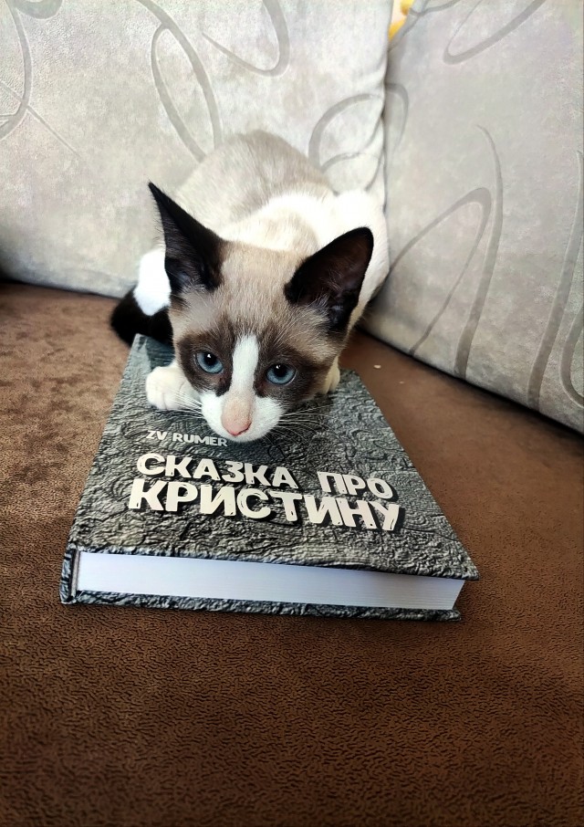 Книга ПОВЕСТИ