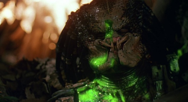 Чужой и Хищник с точки зрения биологии