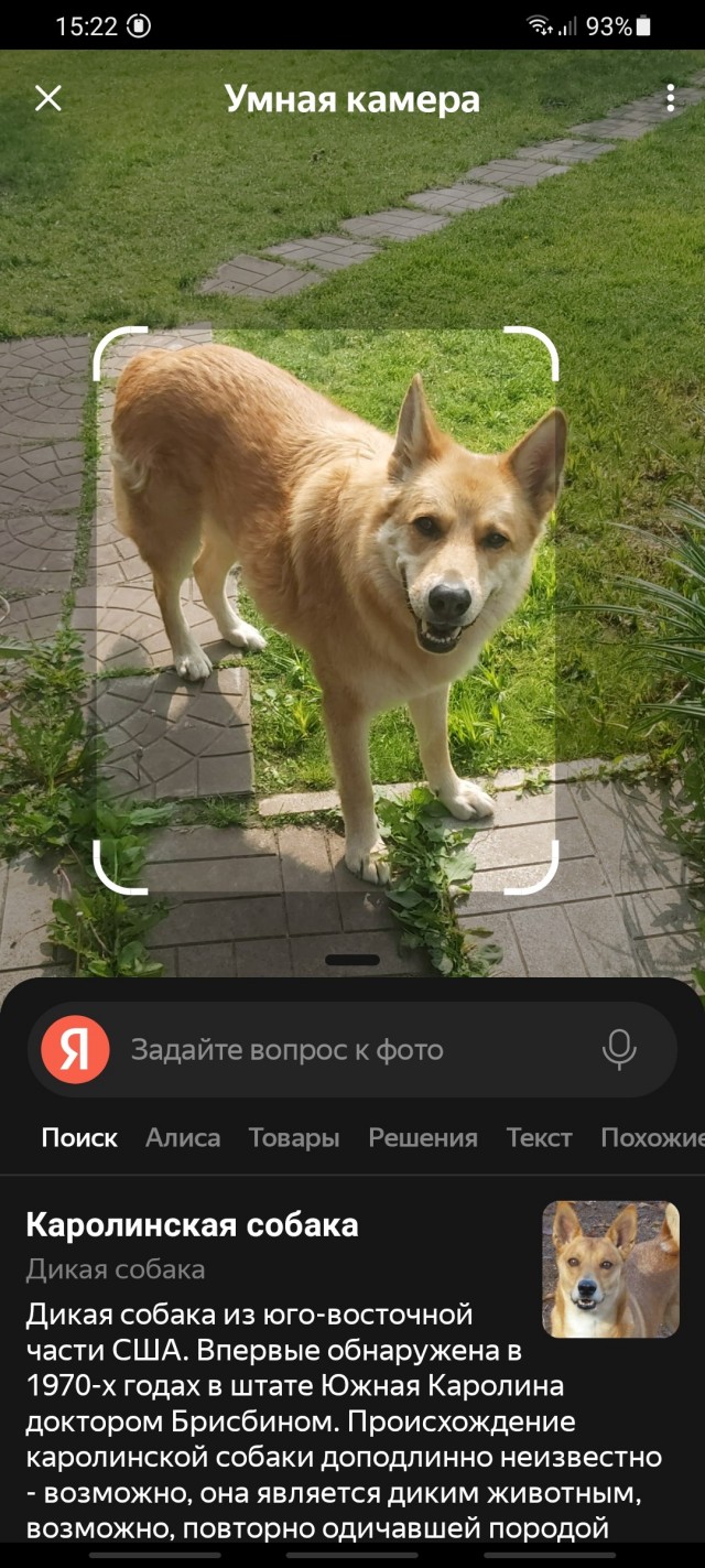 Мой сабакочетверг