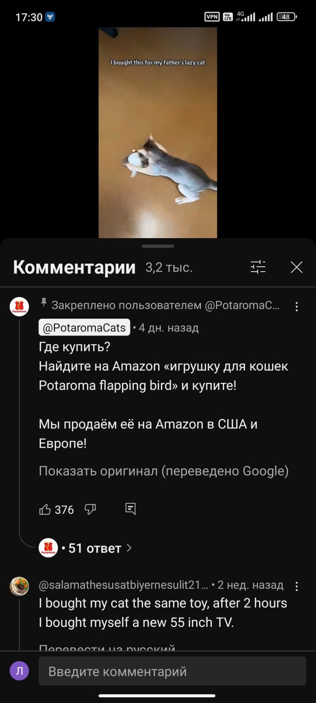 Купили игрушку для ленивого кота