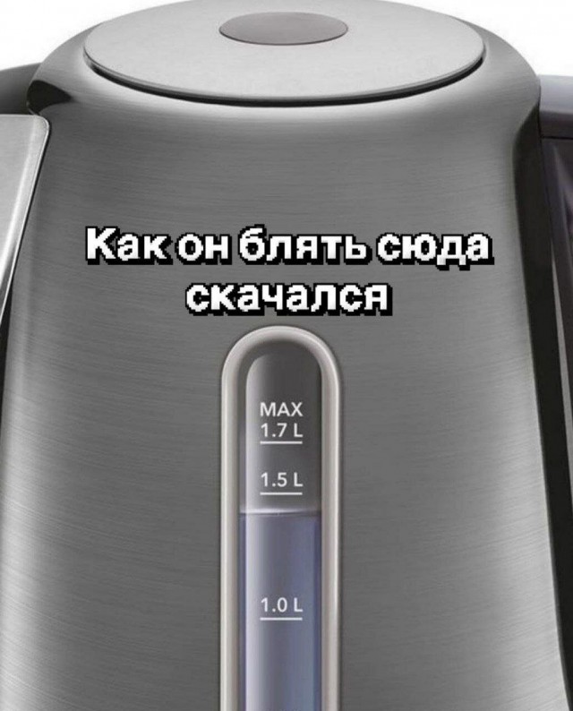 РКН официально сообщил о частичном ограничении WhatsAapp и Telegram из-за мошенников