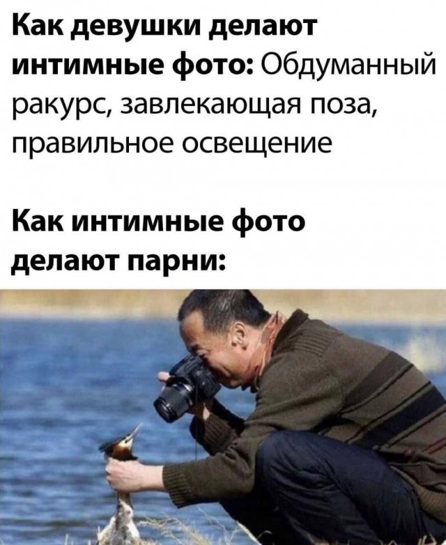 Картинки для деградации 104 (разной степени свежести)