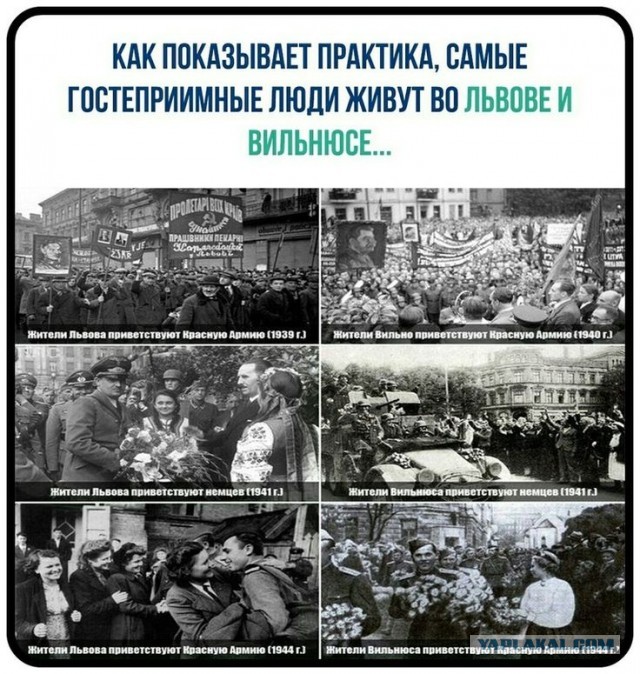 Куча мала 12