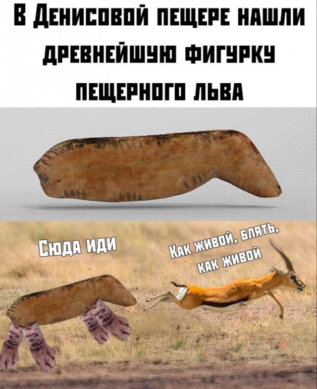 Кто виноват в ДТП?