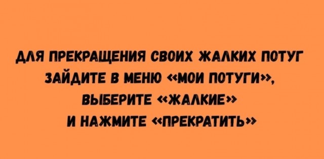 Так себе картинки 24.12.25