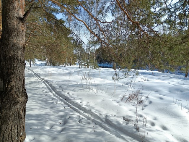 Зимняя дорога