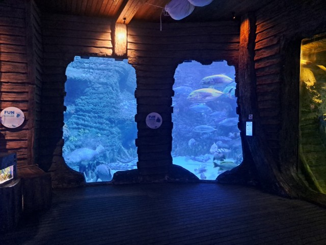 Дубайск в декабре