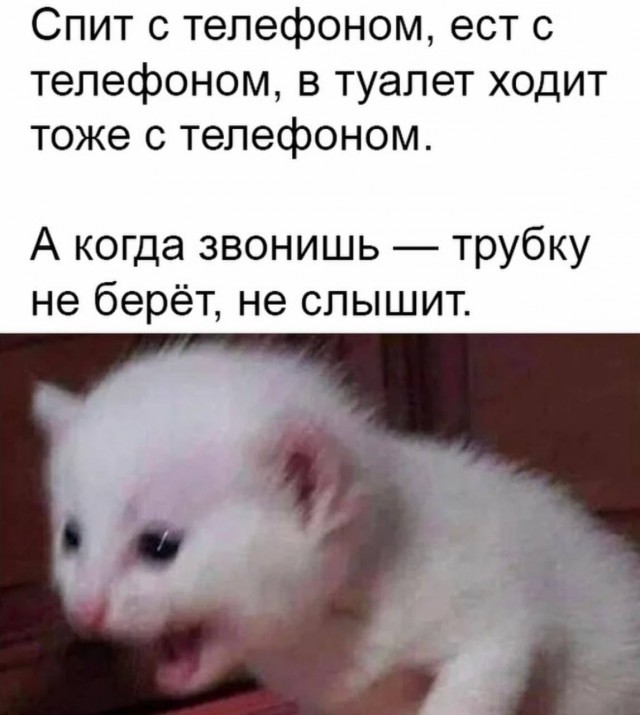 Воскресные картинки
