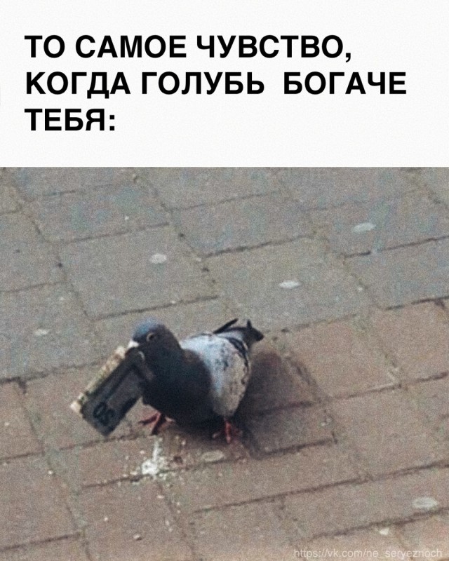 Понедельника картинки