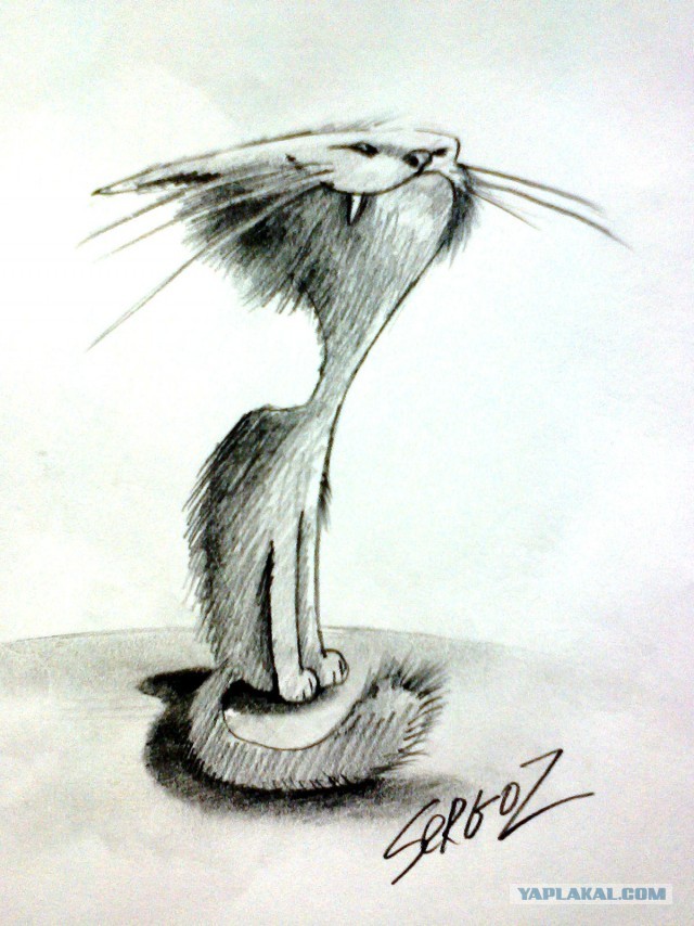 КотЭйки
