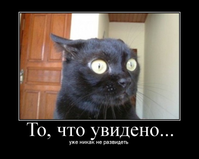 Лилу, как ты изменилась!