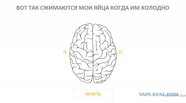 Тест - Левое или Правое.