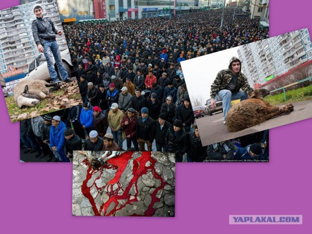 В столице планируют провести кавказский митинг
