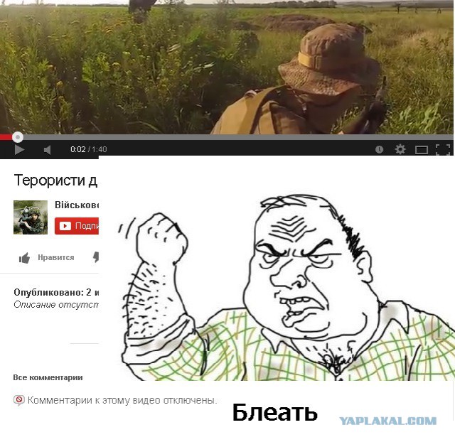 Террористы сдаются украинским войскам