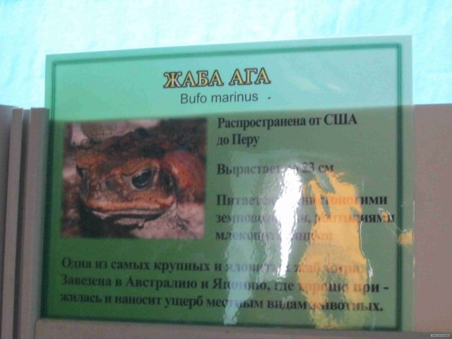Поход за хорошим настроением