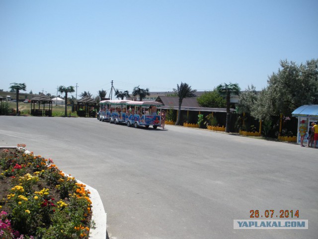 Азовское море. Тиздар