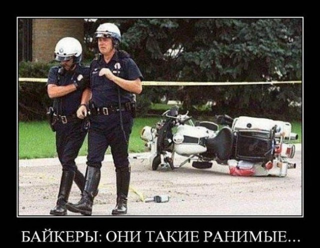Весёлые картинки