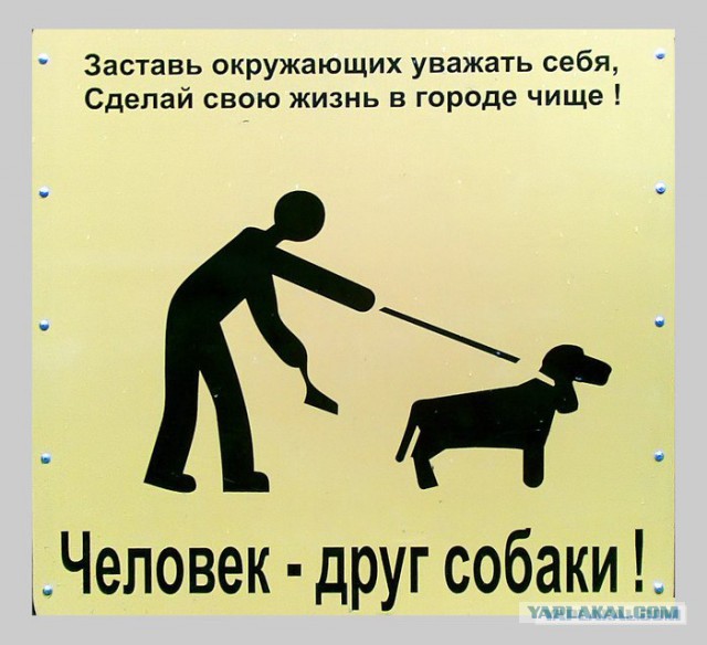 21 повод быть благодарным собаке