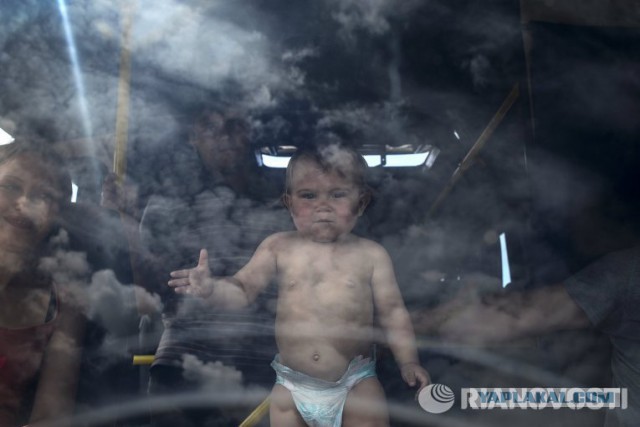 Год силовой операции на востоке Украины