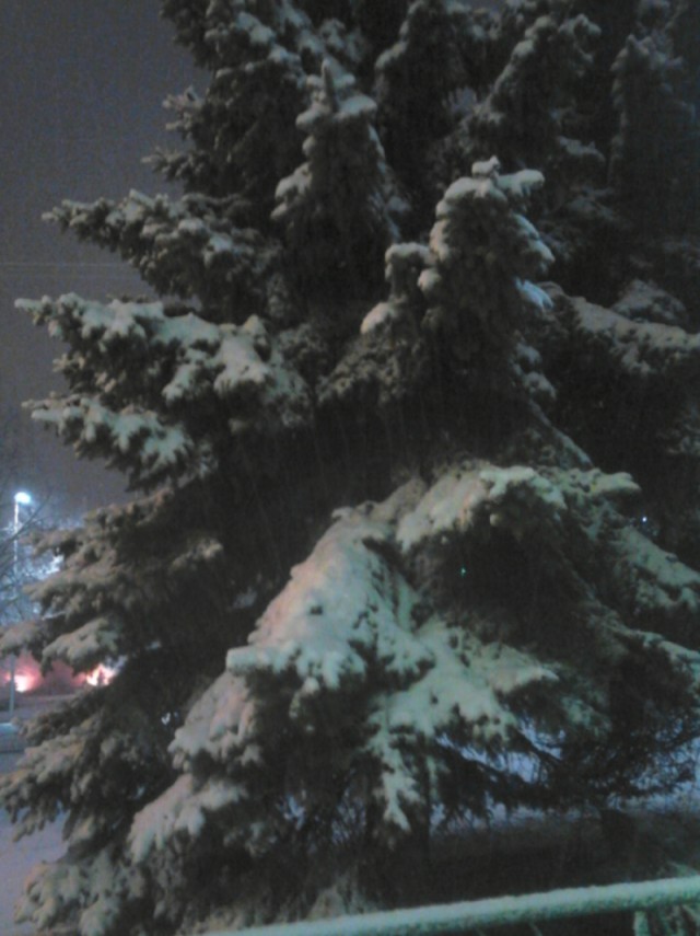 Валентинка 2