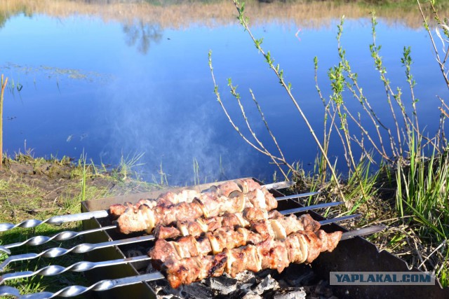 Шашлык, рецепты маринада, все про шашлык!