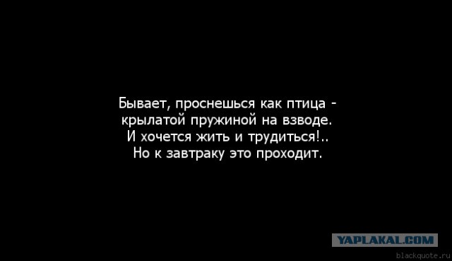 Печальная история о жизни, потраченной впустую