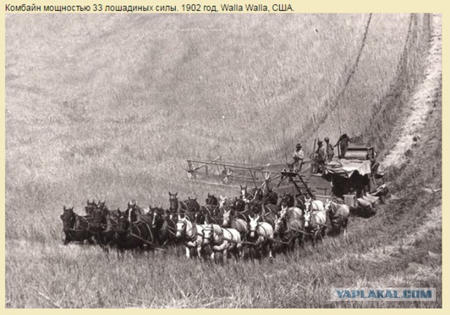 Подборка редких фотографий со всего мира