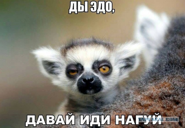 Всегда готов!