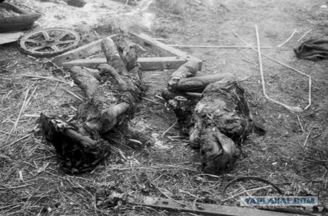 Опыт армий Рейха и СССР на 1941 год