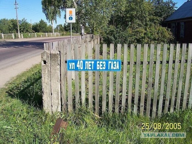 Забавные картинки из Сети