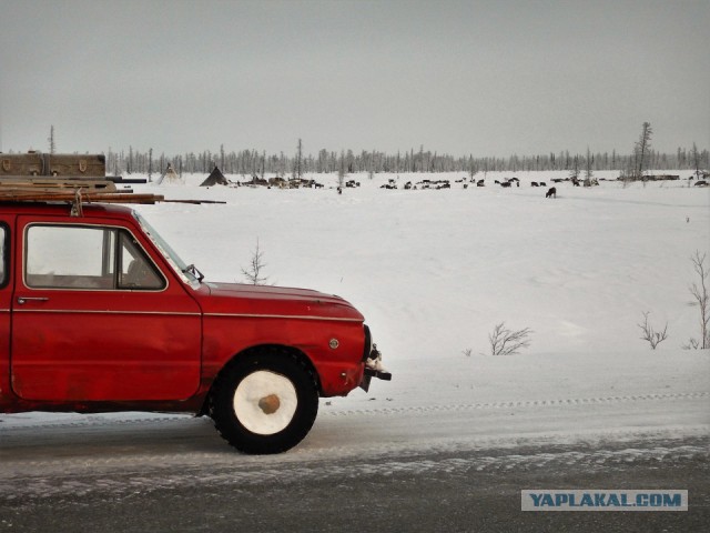 По зимникам на Запорожце